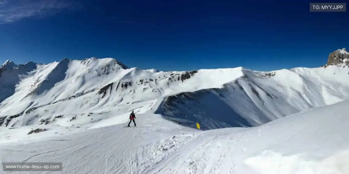 限量款来袭，手慢无！🚨🎯